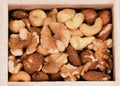 Closeup of mixed salted nuts Royalty Free Stock Photo