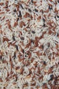 Closeup Mixed White and brown rice, colorful rice grain for background