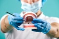 Closeup of model of human teeth and a dental mirror in hands of doctor. Concept of dental health Royalty Free Stock Photo