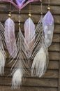 Closeup modern dreamcatcher star mandala with amethyst and peacock feathers on wooden background