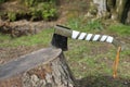 Closeup of a modern woodchopping axe on a tree stump used as a chopping block in a forest Royalty Free Stock Photo