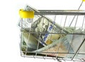 Closeup money in shopping cart on side view