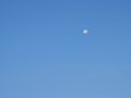 Moon on the blue sky natural background