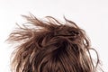 Closeup of a morning bed head with a natural messy hair from behind of young man in his 20s, isolated on white