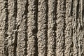 Cement wall texture dirty rough grunge background Royalty Free Stock Photo