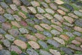 Moss on cobblestone pavement texture