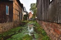 Closeup of a mossy river near the buildings