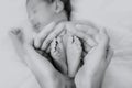 Closeup of mother`s hands holding infant baby boy feet Royalty Free Stock Photo