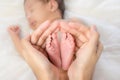 Closeup of mother`s hands holding infant baby boy feet Royalty Free Stock Photo