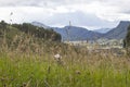 Closeup Mountain Landscape shot with Green Country Field and natural wheat fields Royalty Free Stock Photo