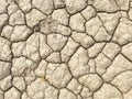 Closeup of mud cracks Royalty Free Stock Photo