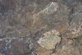 Closeup of multicolor dark rock, patterns and textures in nature as a background Royalty Free Stock Photo