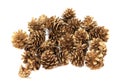 Closeup of multiple Christmass decorative pine cones isolated on a white background Royalty Free Stock Photo