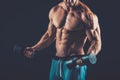 Closeup of a muscular young man lifting dumbbells weights on dar Royalty Free Stock Photo