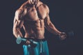 Closeup of a muscular young man lifting dumbbells weights on dar Royalty Free Stock Photo