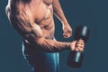 Closeup of a muscular young man lifting dumbbells weights on dar Royalty Free Stock Photo