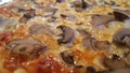 Closeup Mushroom Pizza