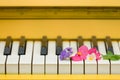 Closeup of musician hands playing on yellow piano`s keys with bright flowers. Music concept Royalty Free Stock Photo