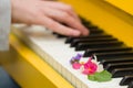 Closeup of musician hands playing on yellow piano`s keys with bright flowers. Music concept Royalty Free Stock Photo