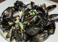 Closeup on mussels steamed served on white plate garnished with