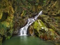 Beautiful silky smooth waterfall stream in the rainforest Sabah, Malaysia. Royalty Free Stock Photo