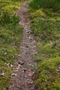 Closeup of narrow footpath Royalty Free Stock Photo