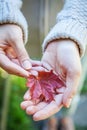 Closeup natural autumn fall view woman hands holding red orange maple leaf on park background. Inspirational nature october or Royalty Free Stock Photo