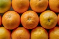 Closeup of natural oranges, vibrant citrus fruit Closeup