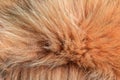 Closeup of natural silver fox fur. Nice background