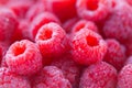 Closeup of natural tasty colourful raspberry with copy space