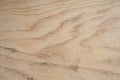 Closeup of natural wood plank. Wooden grain with fine texture. Rustic backdrop in pastel colors