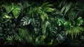 Closeup nature view of tropical green monstera leaf and palms background. Generative AI.