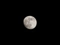 closeup of a nearly full moon with its craters in the black night sky Royalty Free Stock Photo