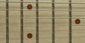 Closeup neck guitar