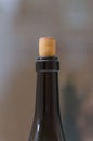 a closeup of the neck of a wine bottle closed with cork background Royalty Free Stock Photo