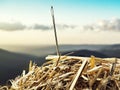 Closeup of Needle in haystack on background