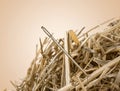 Closeup of Needle in haystack on light background