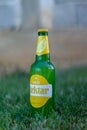 Closeup of a Nektar beer bottle on green grass Royalty Free Stock Photo