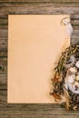 Closeup nest with quail eggs and feather in right side of sheet of paper for text on wood board. Vertical background. Royalty Free Stock Photo