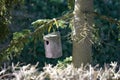 Closeup of a nestbox for songbirds hanging on a tree branch