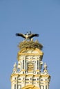 Closeup of nesting European storks on white cathedral tower with beautiful sunlight in village of Southern Spain off highway A49