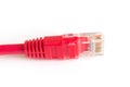 Closeup of a network cable Royalty Free Stock Photo