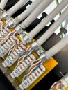 Closeup of network cables crimped on patch panel with selective focus on foreground. FTP cable Royalty Free Stock Photo