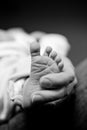Closeup newborn baby foot
