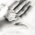 Closeup newborn baby holding his mothers finger Royalty Free Stock Photo