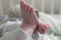 Closeup of newborn legs on a white blanket, childhood and maternity concept. Baby feet. Selective focus Royalty Free Stock Photo