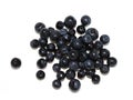 Closeup on newly picked blueberries Royalty Free Stock Photo