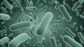 A closeup of numerous rodshaped bacteria, rendered in a green hue, floating in a clear liquid medium. The image captures their Royalty Free Stock Photo