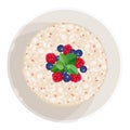 Closeup of oatmeal with fruits isolated illustration on white