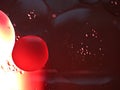 Closeup oil droplets with red, black light background and shiny Royalty Free Stock Photo